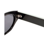 Close-up of a black sunglasses frame with a white interior on a white background