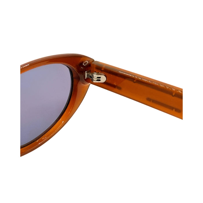 Close-up of a sunglasses frame with a visible brand logo on a white background