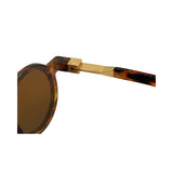 Sunglasses with tortoiseshell frame and brown lenses on a white background